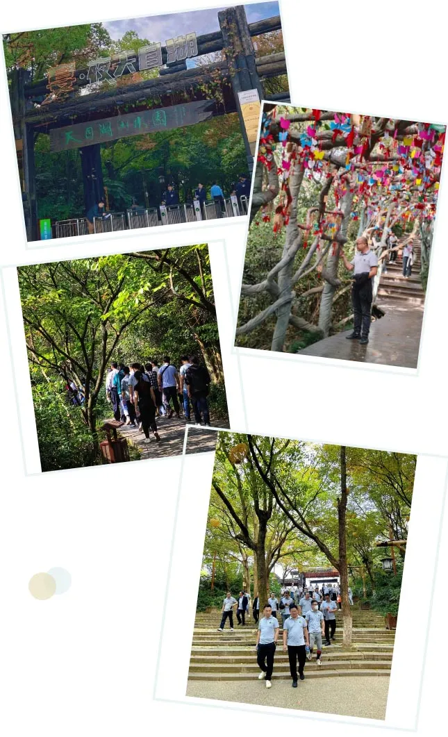 游山 踏秋的N种方式,不如直奔天目湖!(图2)