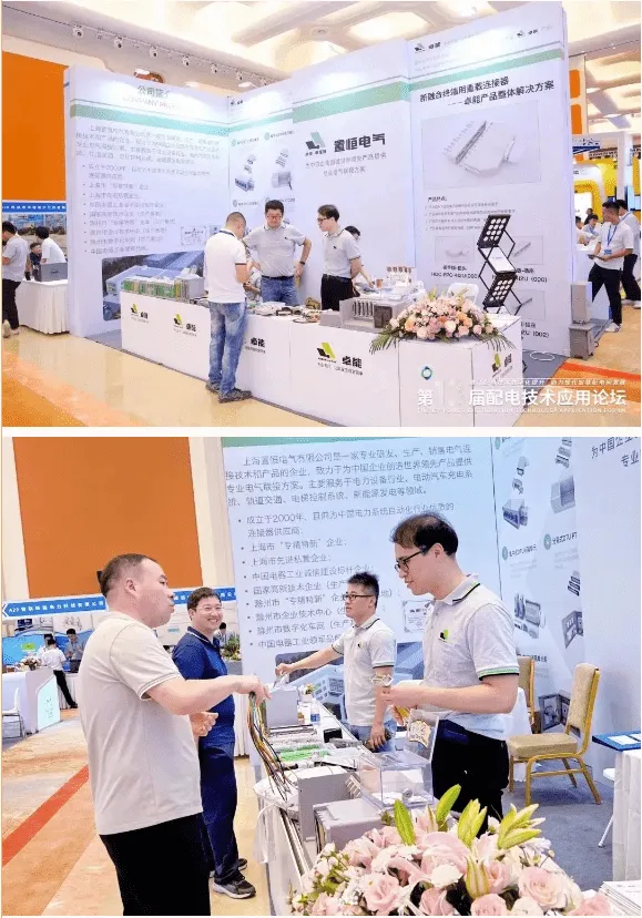 2023年第13届配电技术应用论坛 2024元旦快乐,感谢有你!(图9)